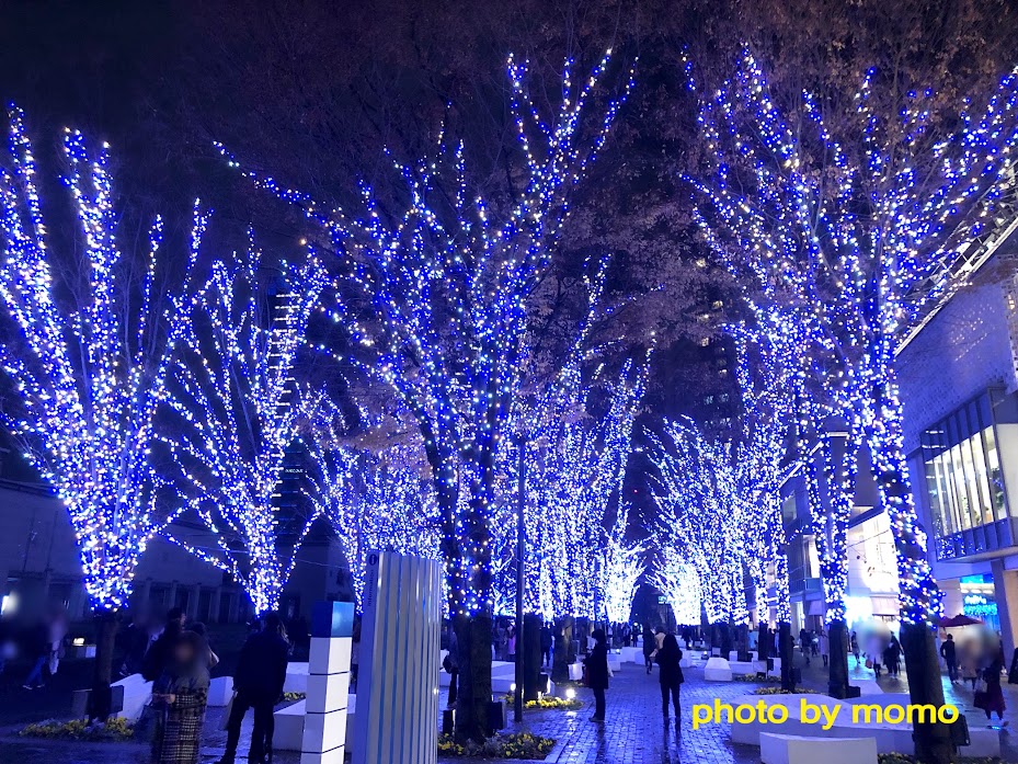 横浜グランモール公園のイルミネーション